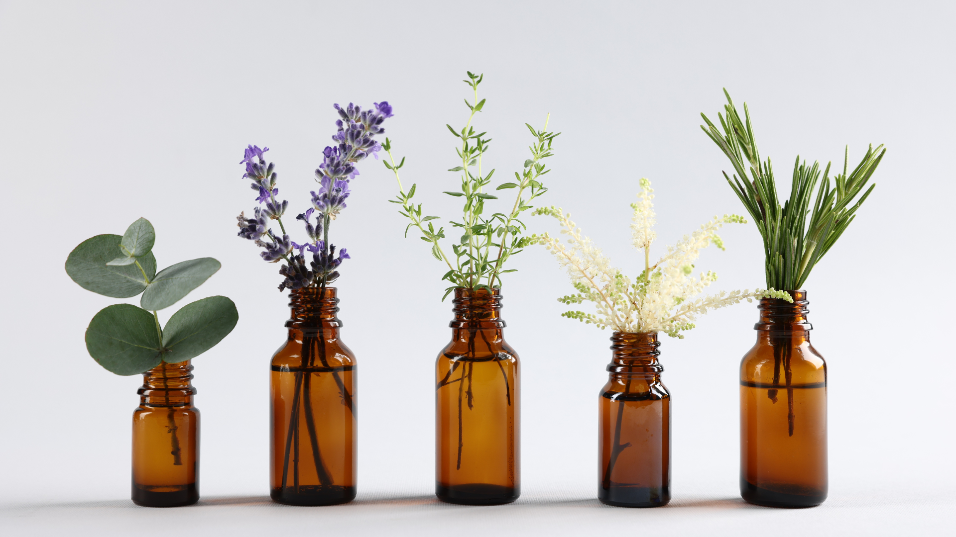 La importancia de elegir un buen centro veterinario en Sabadell